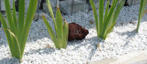 marble chips in the flower garden