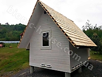 Апи-дома(аква колор)_2