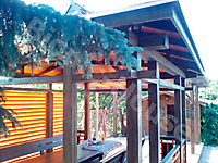 ЧП Петр I Беседка цвет палисандр-пиния_7