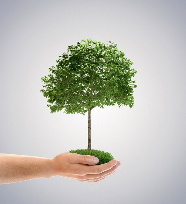 Fotolia 41560854 Subscription Monthly L 700x766