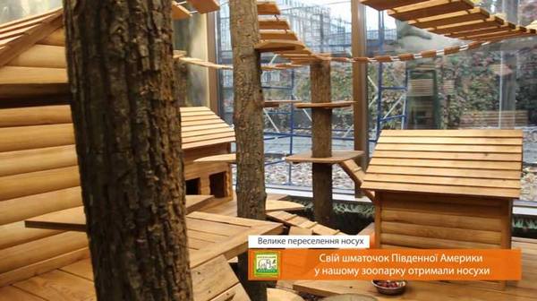 Тунговою олією з карнаубським воском Bionic-House покрили вольер для носух.