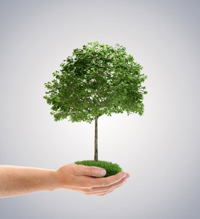 пропозиція