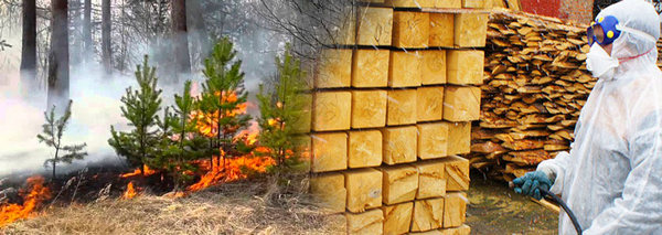 Вогнебіозахисні просочення для пожежонебезпечного періоду